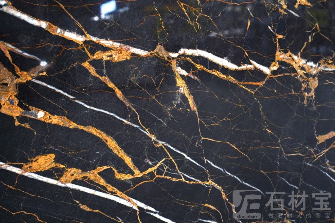 迪奥黑金·沙罗兰