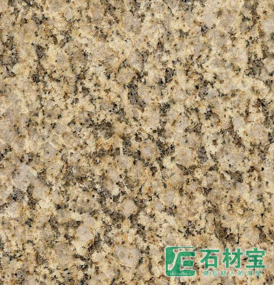 黄金钻大黄光面