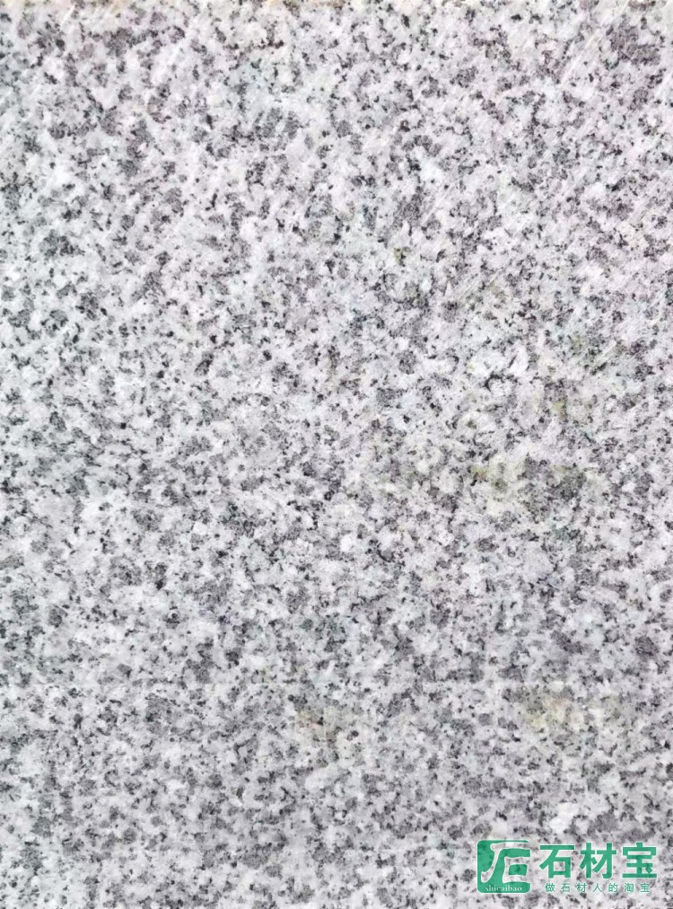 大连芝麻白机切面