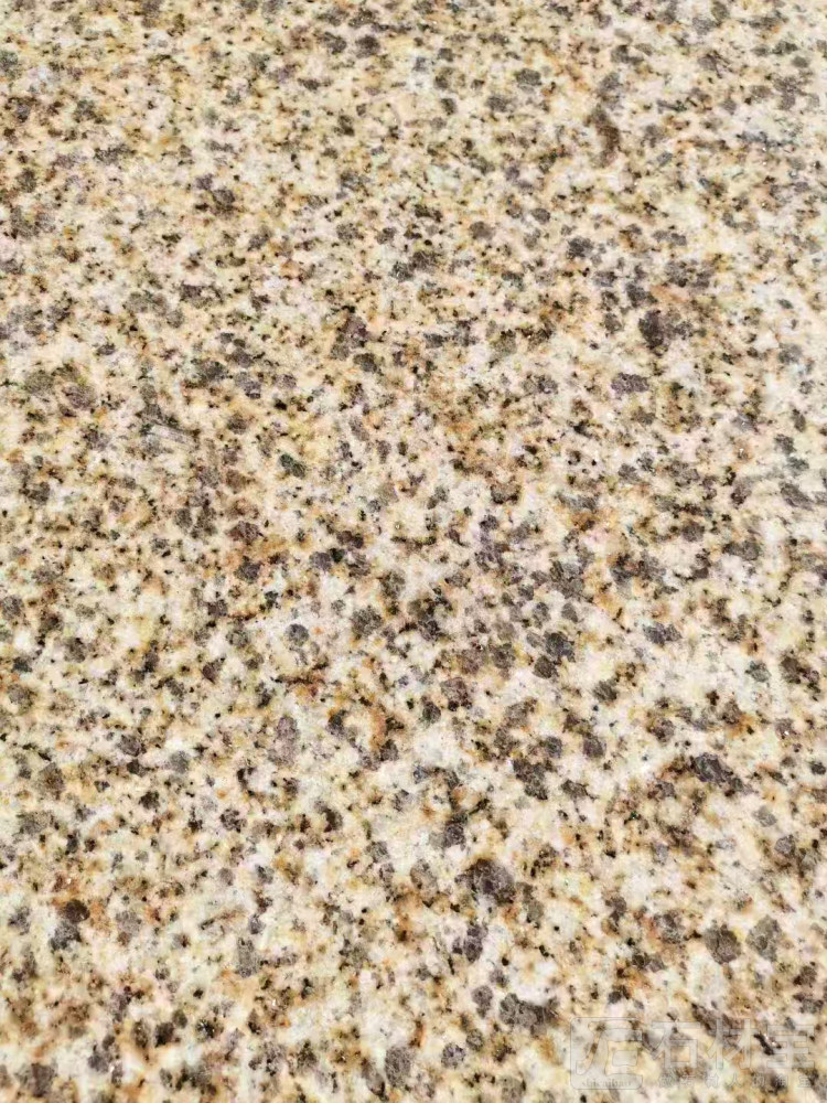 黄金麻火烧面