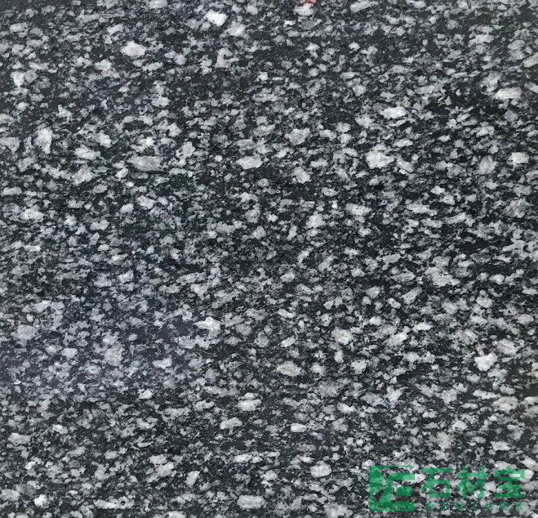 大连芝麻黑
