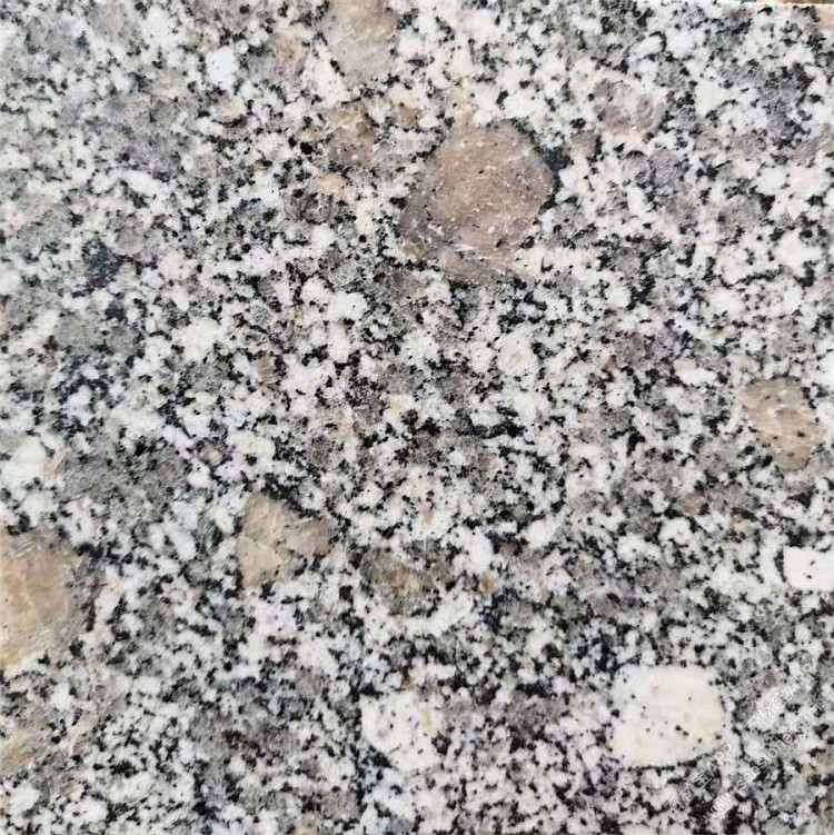 珍珠花光面