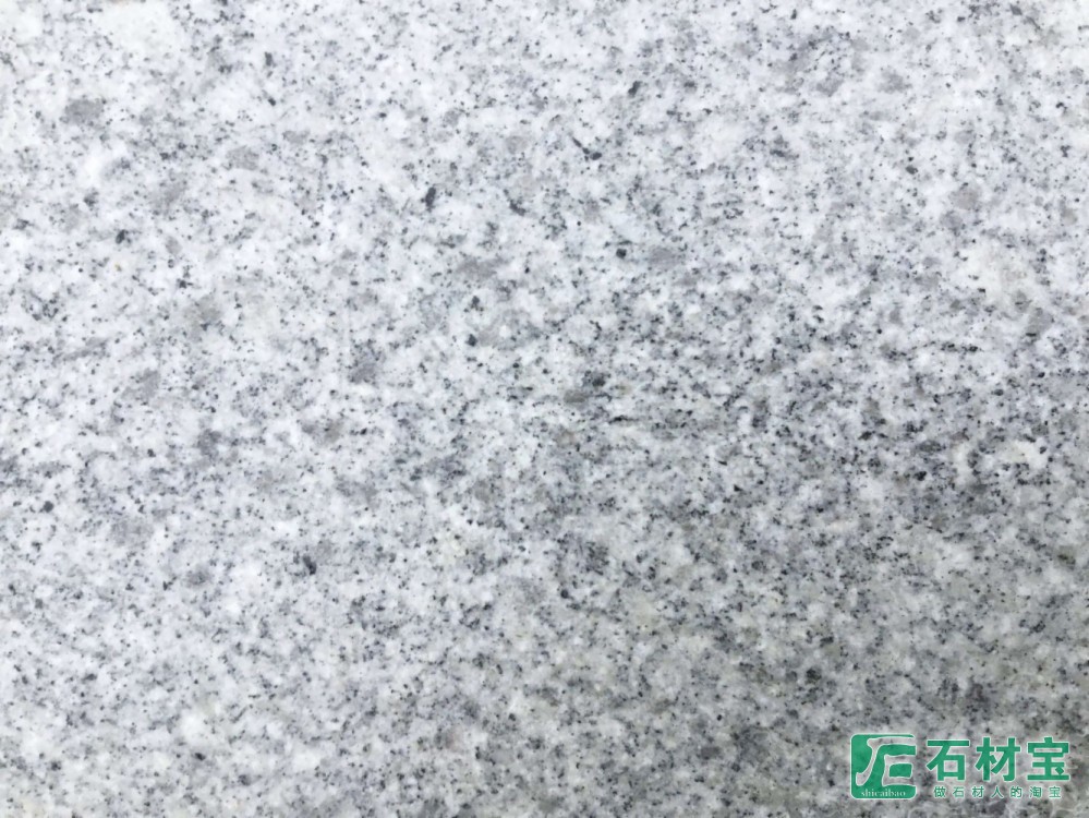 河南芝麻白