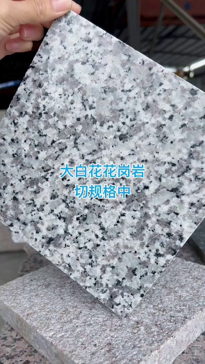 大白花光面