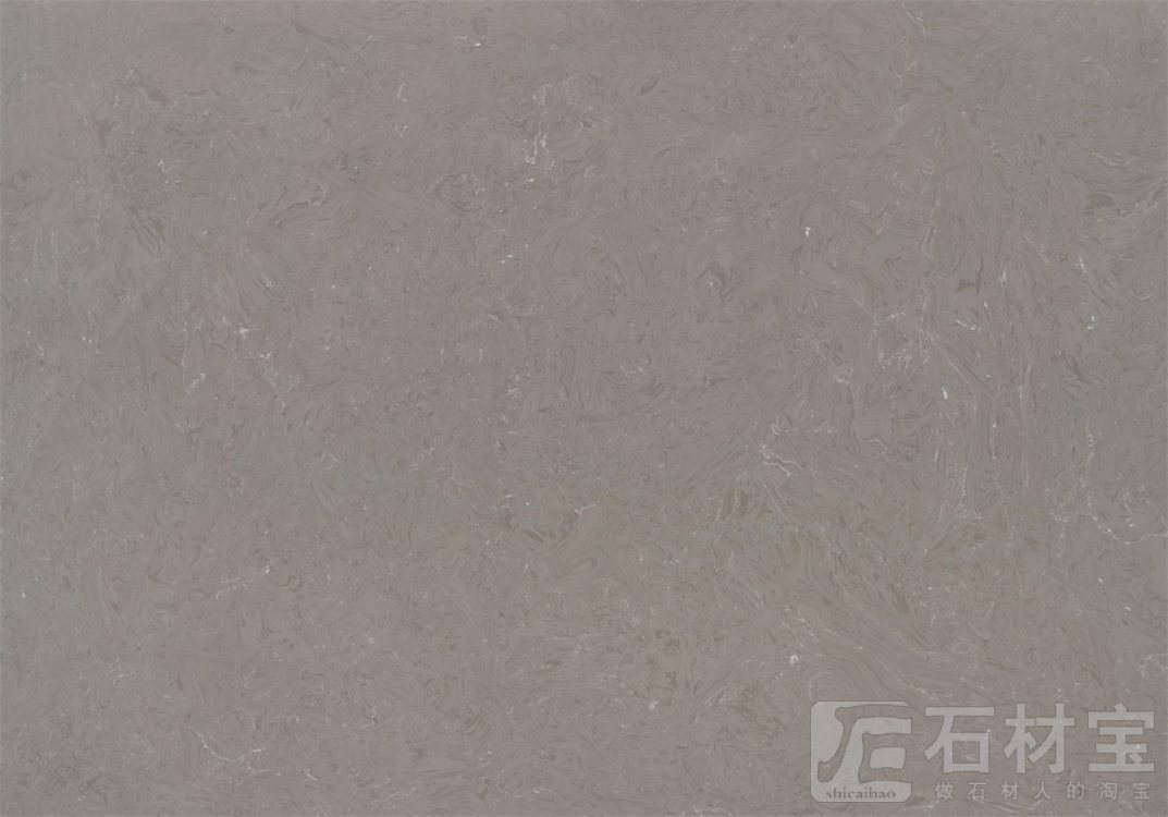 ss比萨灰