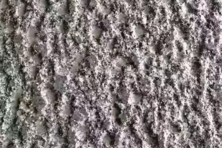 钟山青