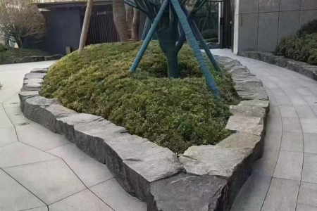 山西黑