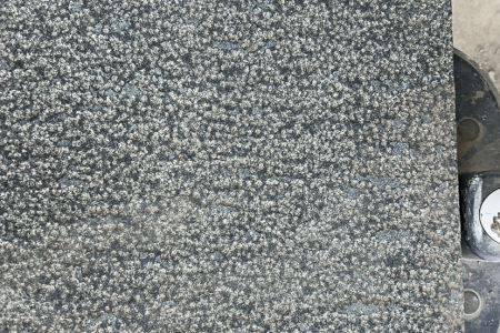 滨州青