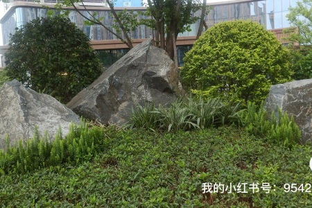 山西黑景石