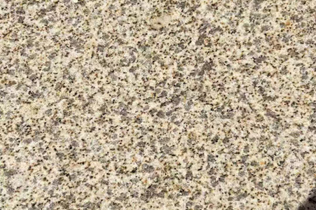 黄金麻火烧面