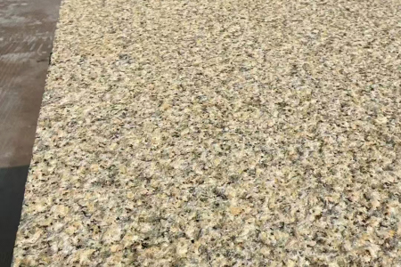 黄金麻荔枝面