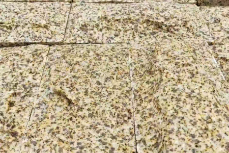黄金麻蘑菇面