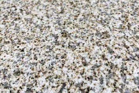 黄金麻荔枝面