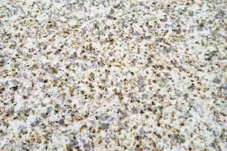 黄金麻荔枝面