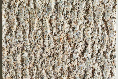 黄金麻菠萝面