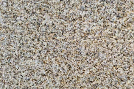 黄金麻荔枝面