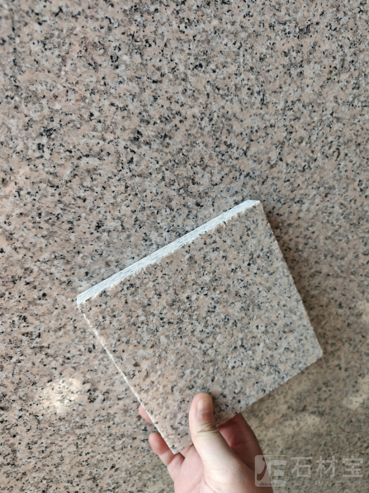 白底虾红