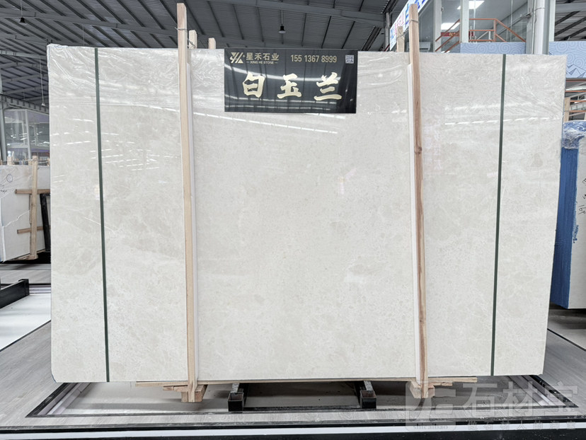 精品白玉兰，油性好，现货