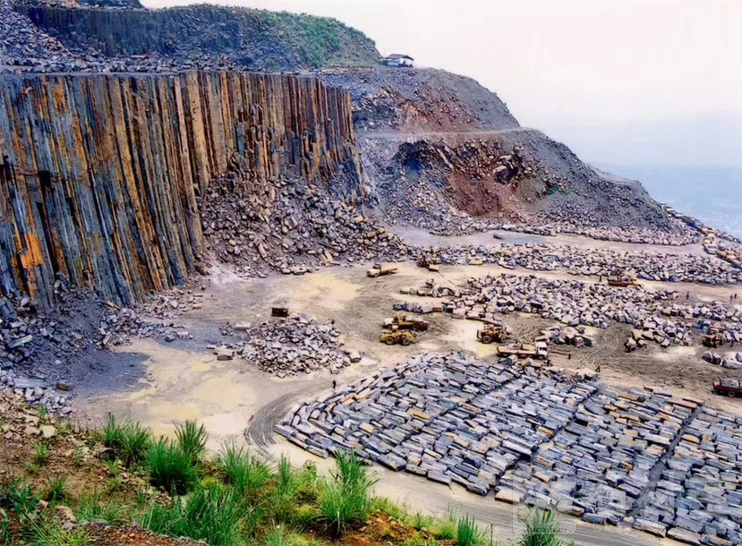 福鼎黑，滨州青