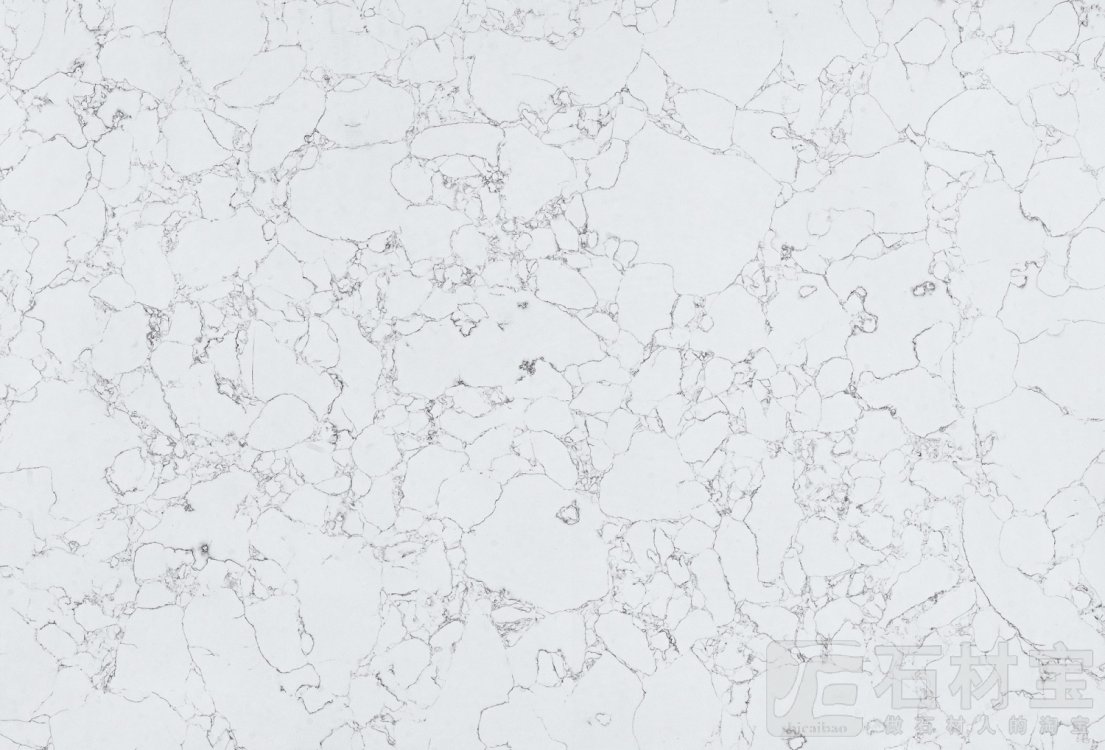网纹白2号