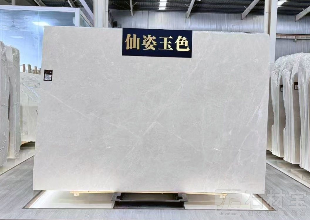 极品白玉兰