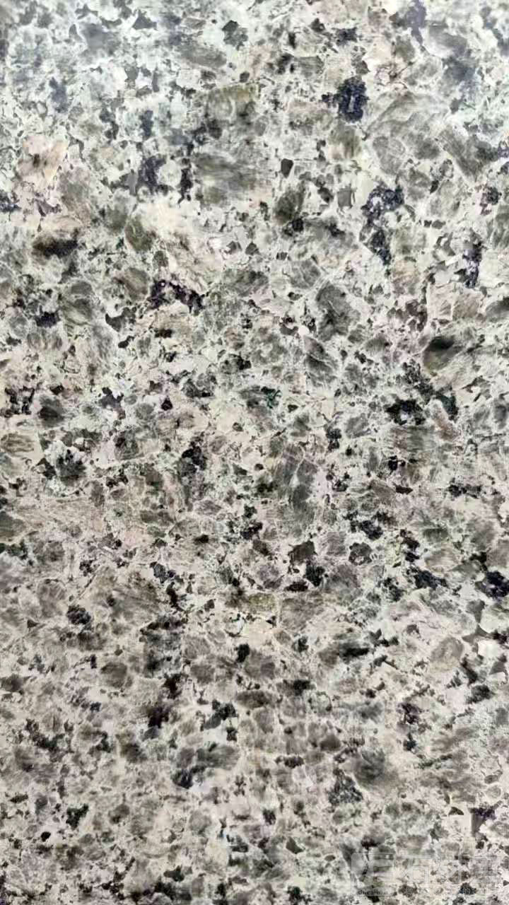 蓝豹