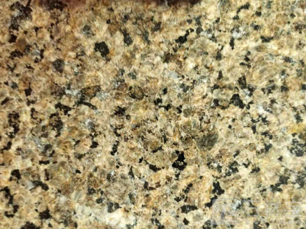 黄金钻4#