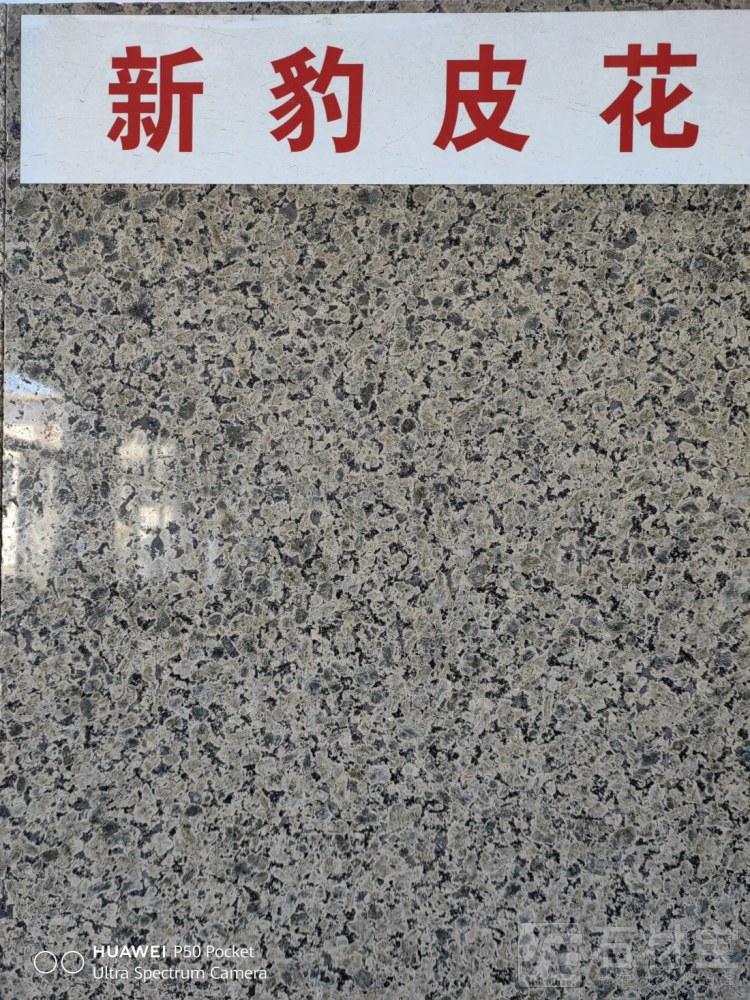 新豹皮花