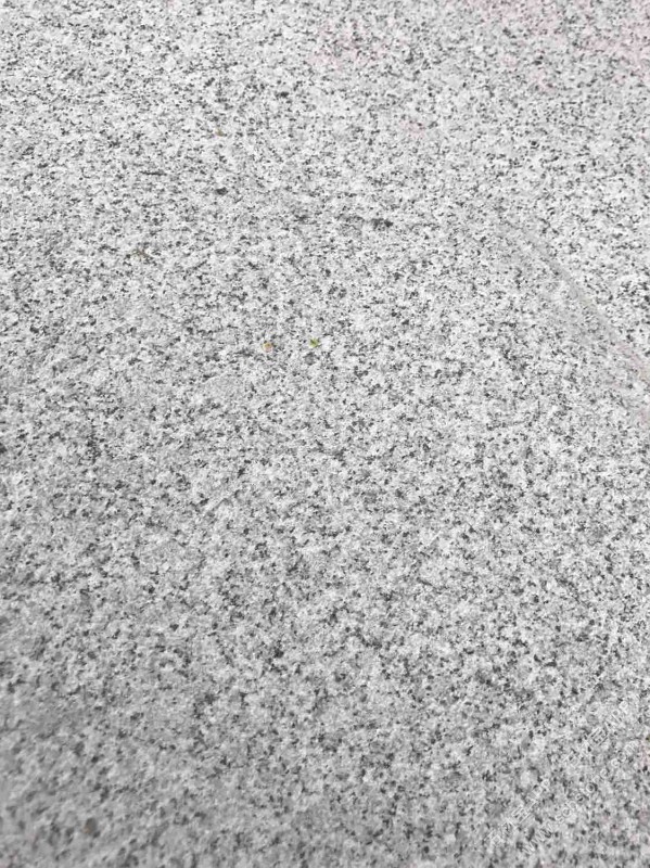 芝麻白603(廉江白) 荔枝面