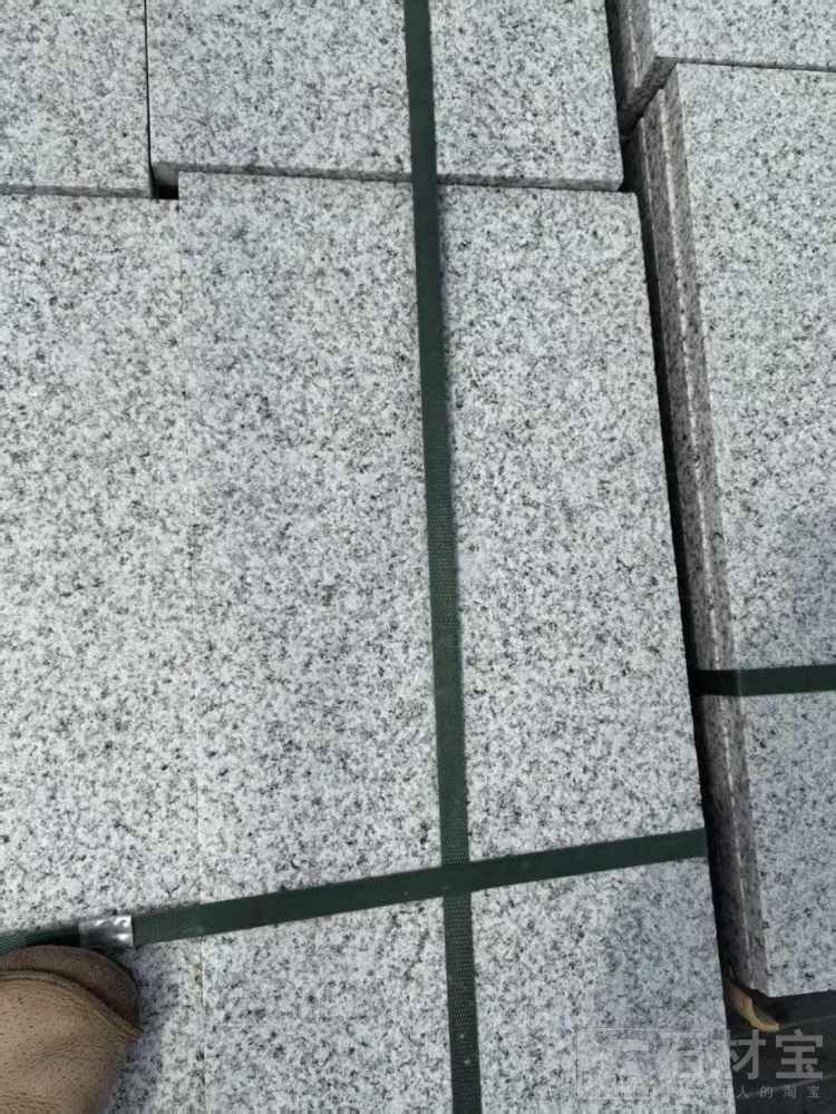 江西芝麻白
