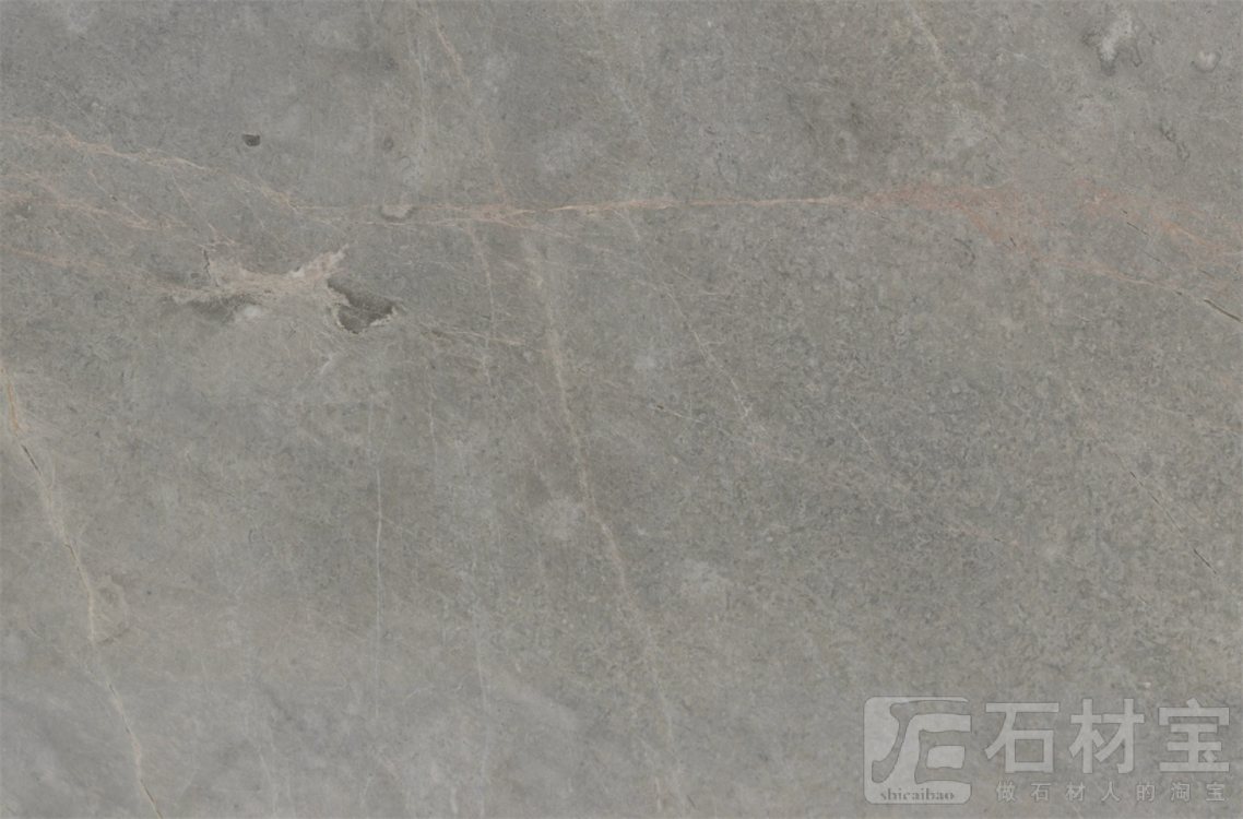 丽雅灰