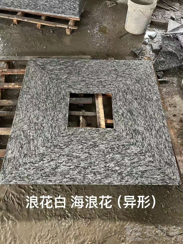 海浪花(浪花白)异形