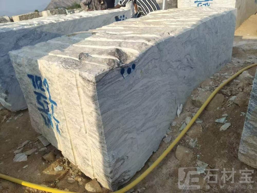 维斯康白