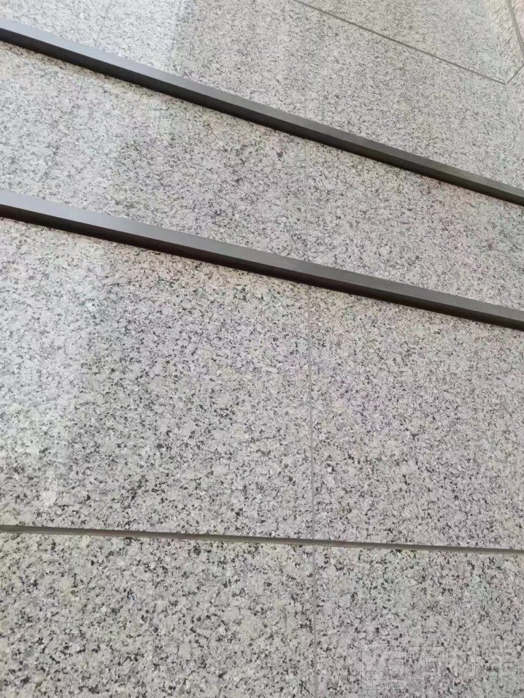 紫蓝花(珍珠兰)
