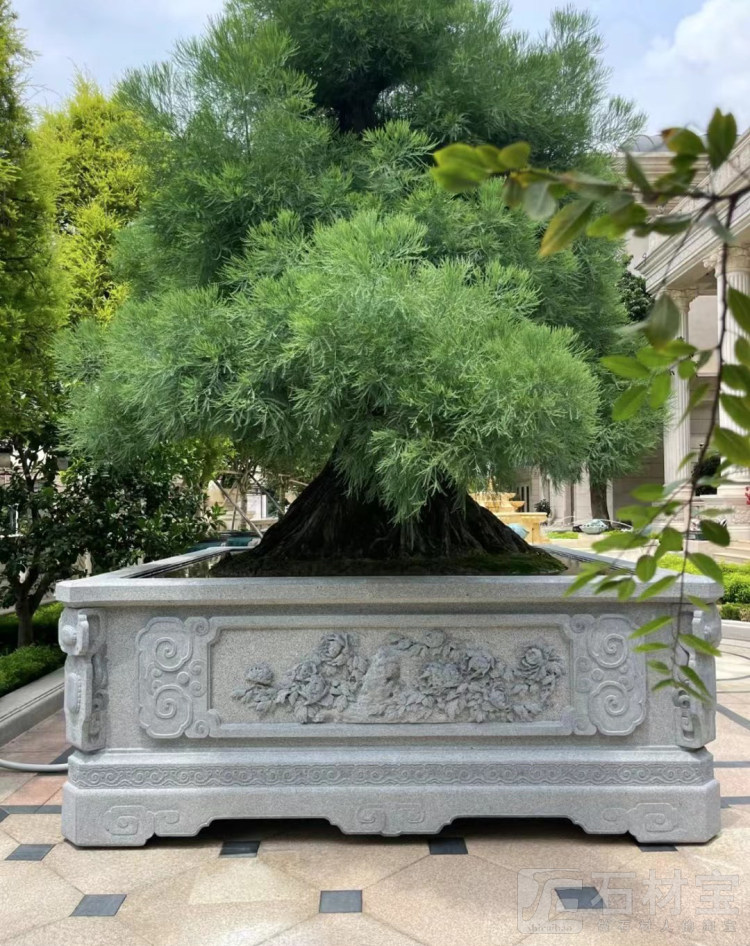 花钵