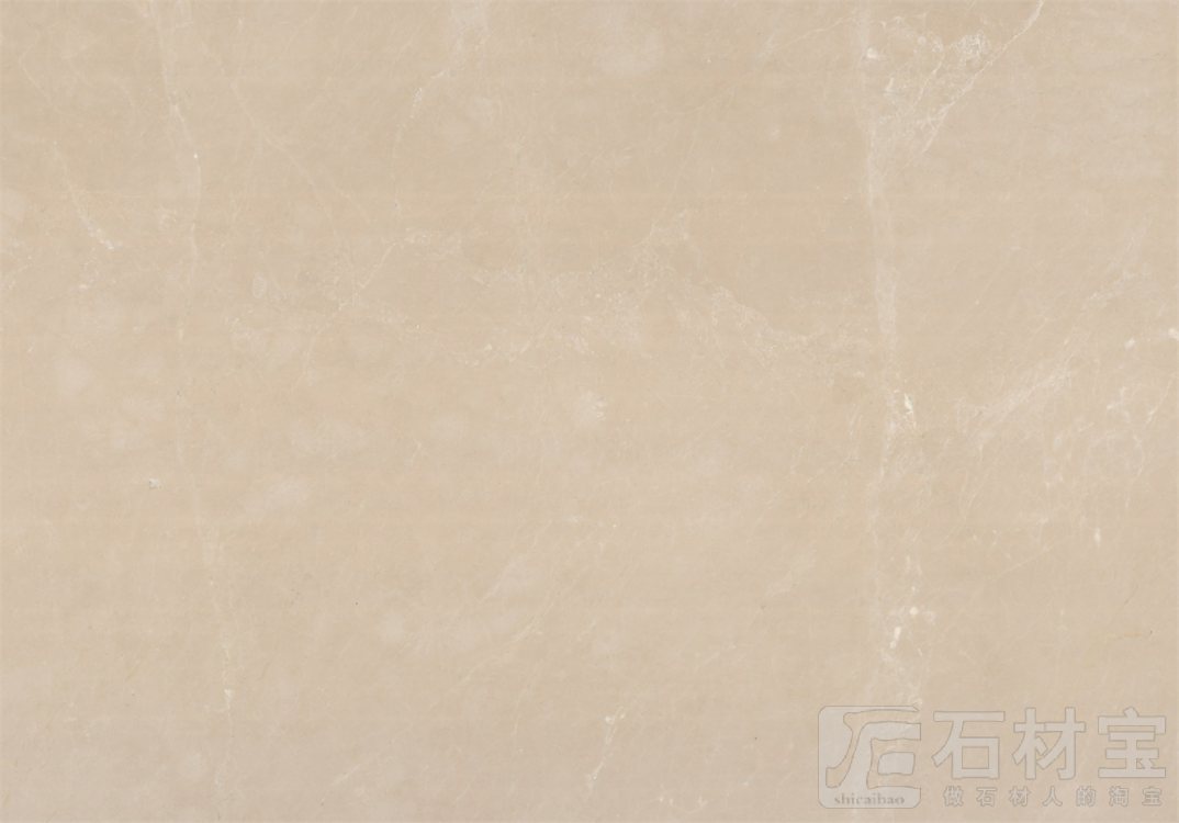 白玉兰 