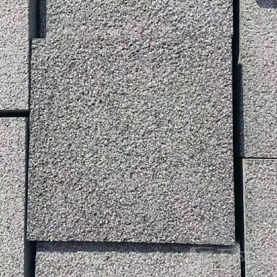 中国黑荔枝面