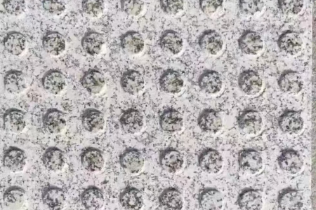 盲道石