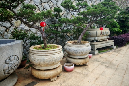 石雕鱼缸水缸树盆树缸树钵花盆花钵莲花缸荷花缸
