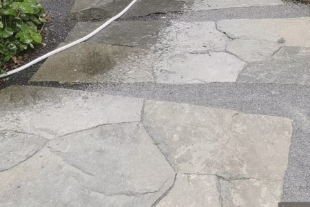 滨州青