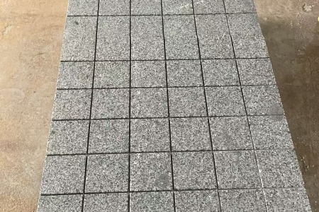 广西芝麻黑