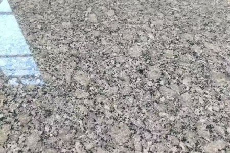 芙蓉白