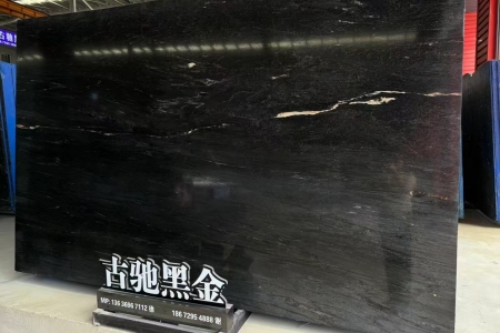 奥斯塔金(古驰黑金)