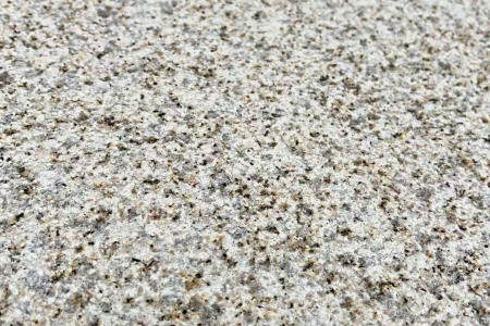 黄金麻荔枝面
