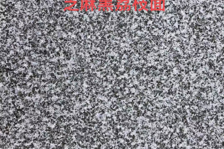 广西芝麻黑荔枝面