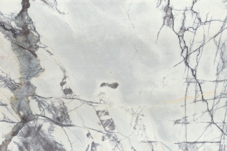 香雪梅_3