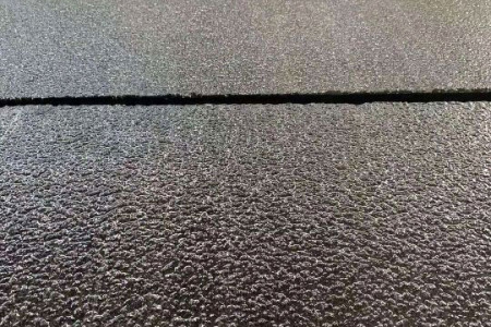 中国黑荔枝面