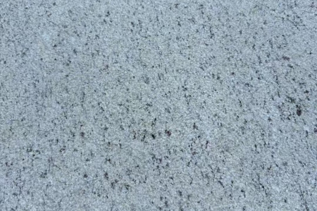 金山麻荔枝面