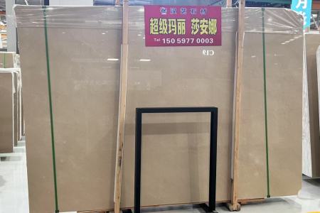 超级玛丽/莎安娜