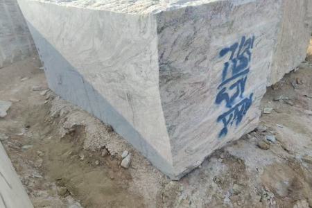 维斯康白